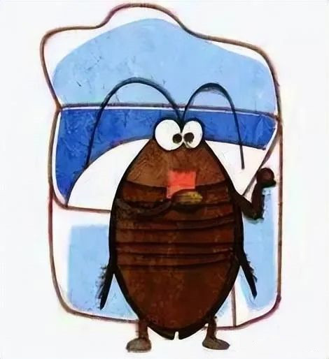 1678765425556811.jpg 4.jpg