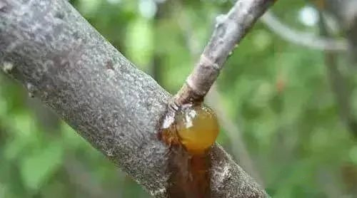 1678766588171038.jpg 5.jpg